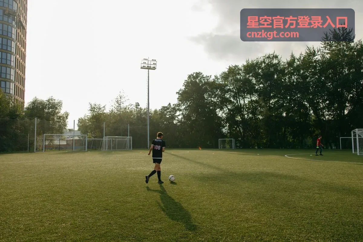 星空官方登录入口登录异常排查顺序